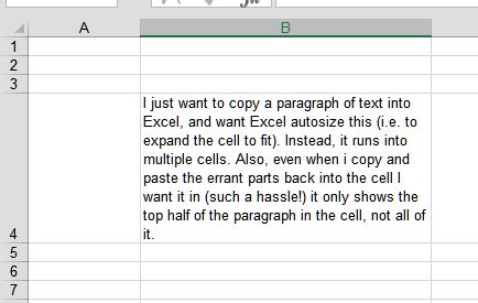 Image result for How to Write Paragraphs in Excel