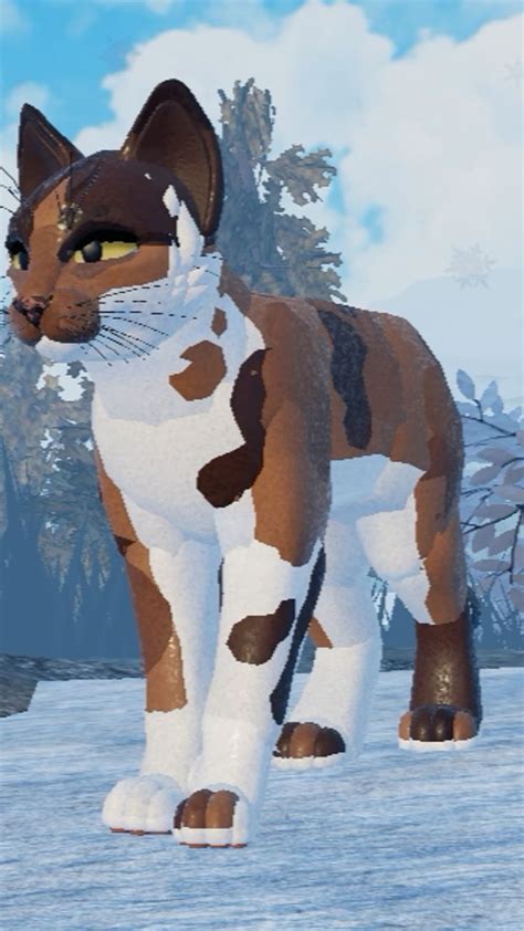 Afbeeldingsresultaten voor Wcue Morphs Roblox