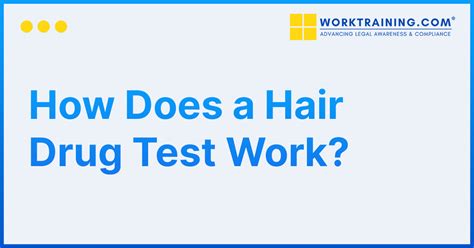 Image result for Hair Sample Drug Test