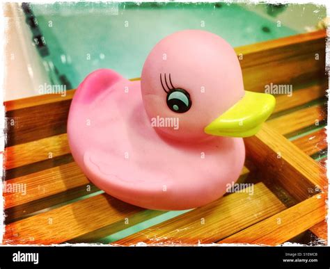 Image result for Rubber Duck Bath
