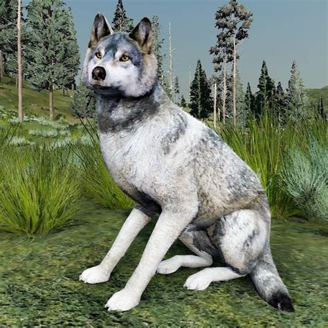 Image result for Fur Blender Model Roblox