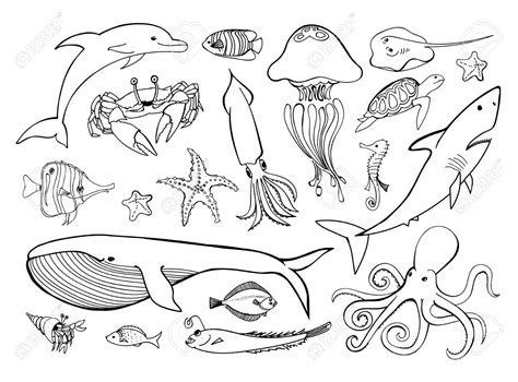 Image result for Ocean Theme Linear Drawing