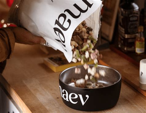 Image result for Maev Roblox