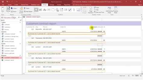 Image result for Professional Access Reports