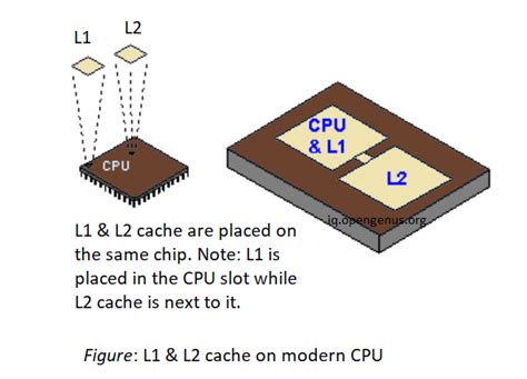 تصویر کا نتیجہ برائے Level 1 Cache Memory Diagram