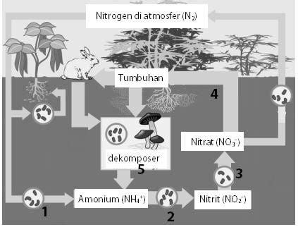 Image result for Nitrogen Gas Detector Arduino