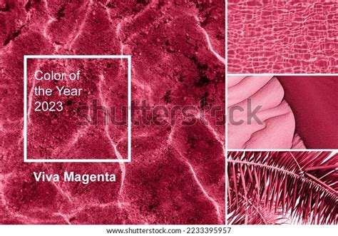 Image result for Magenta Color of the Year