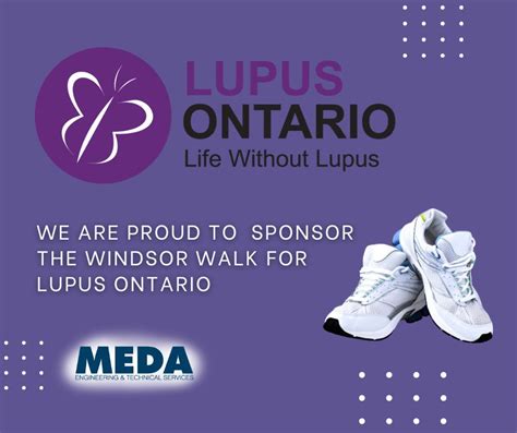 Technical Codes in Meda に対する画像結果