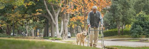 Durable Medical Equipment Plasma Flow に対する画像結果