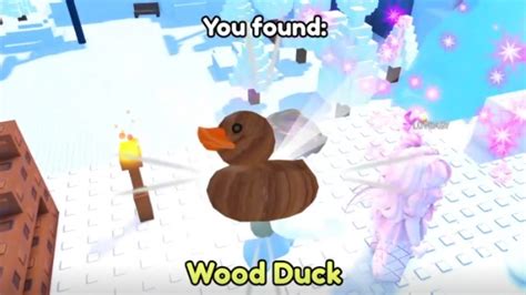 Roblox Duck Game కోసం చిత్ర ఫలితం