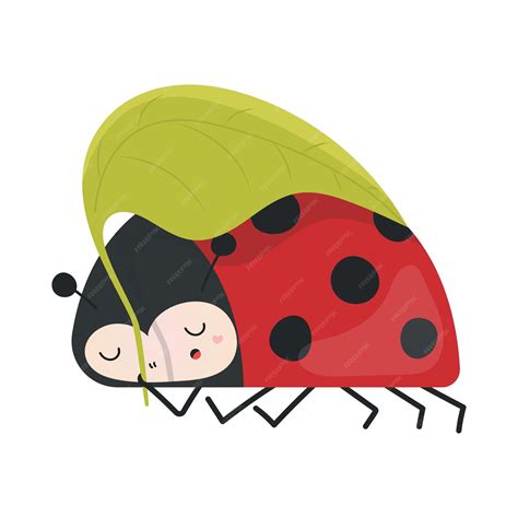 Image result for Clip Art Ladybug
