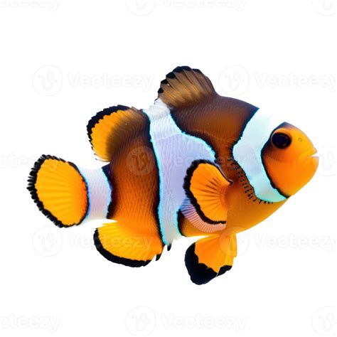 Image result for Transparent Snapping Fingers