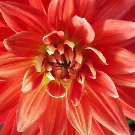 Image result for Leuk Vinden