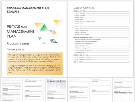 Image result for Program Management Plan Template