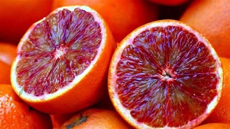 Afbeeldingsresultaten voor Raspberry Orange
