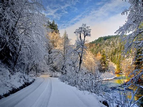 Toradh íomhá ar Background App Image Android Mobile