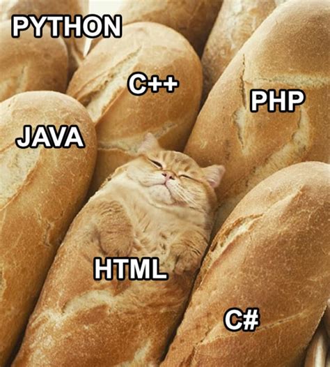تصویر کا نتیجہ برائے Stateless Programming Meme
