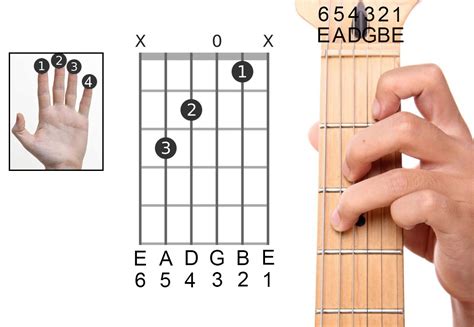 Image result for How To Learn Guitar