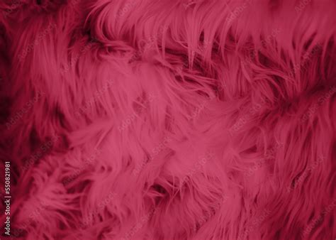 Image result for Magenta Color of the Year