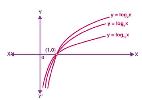Image result for Exponential Function Formula
