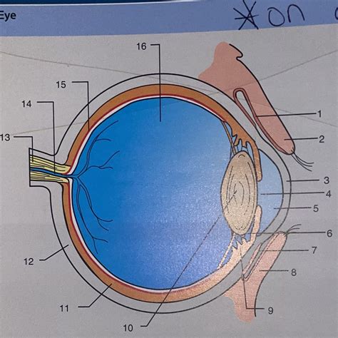 Image result for Excel Eye Diagram