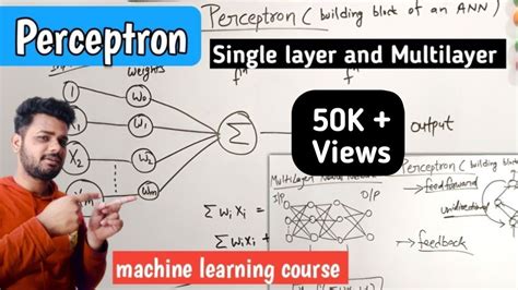 Image result for Perceptron in Machine Learning