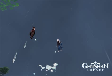 Toradh íomhá ar What Does Shenhe Do