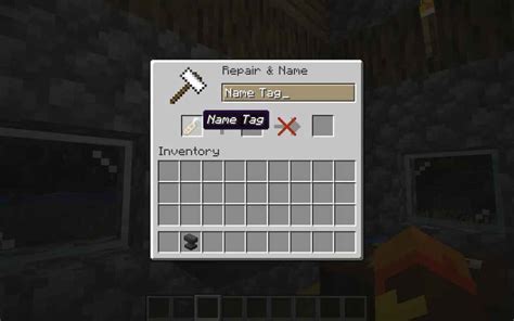 Image result for How to Use Name Tag Minecraft