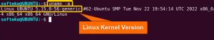 Image result for Print Out Linux Distro in Terminal