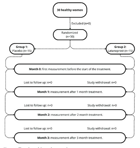 Image result for Research Protocol Flow Chart