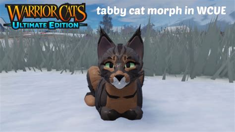 Toradh íomhá ar Roblox Cat Morph