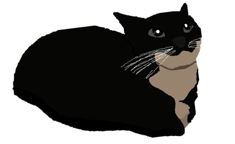 Image result for Evil Maxwell Cat