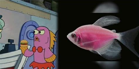 Image result for Spongebob Evelyn