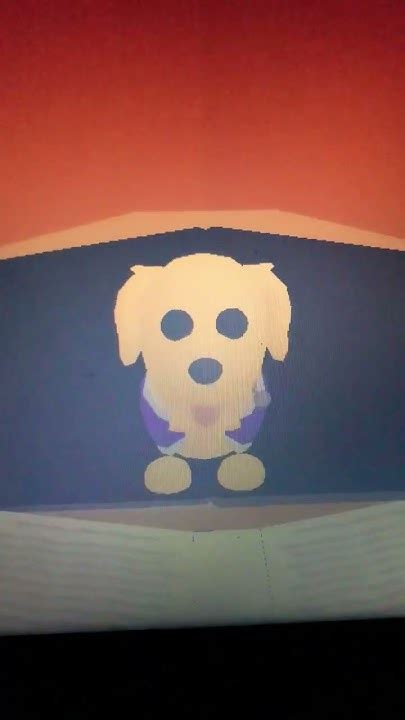 تصویر کا نتیجہ برائے What Do I Do If AdoptMe Roblox Will Not Work