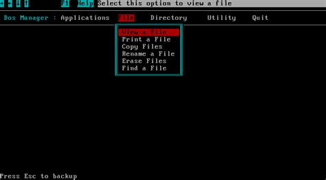 Image result for Dos Disk Manager