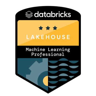 Image result for Databricks Professional