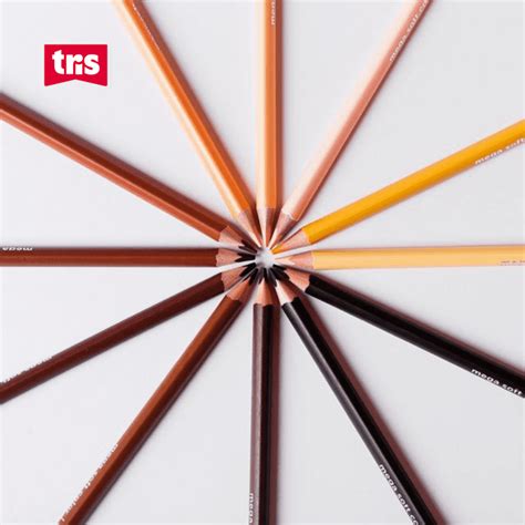 Image result for Tons Da Cor De Pele