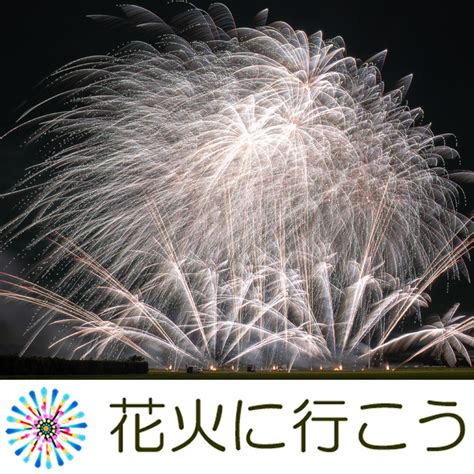 Toradh íomhá ar Dena Credit Card