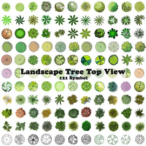 Image result for Tree Symbol Plan View