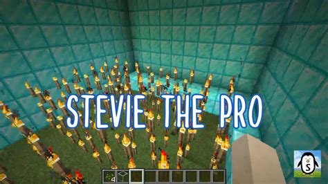 Image result for Internal Command for Minecraft Java