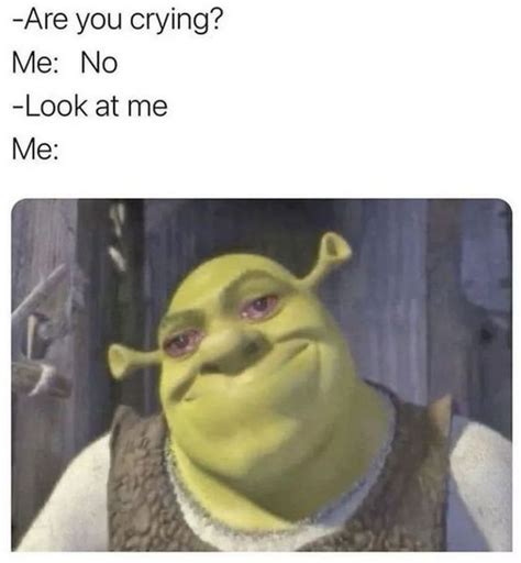 Image result for I Can Do This Meme Crying