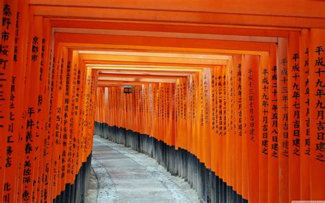 Image result for Kyoto Windows Wallpaper