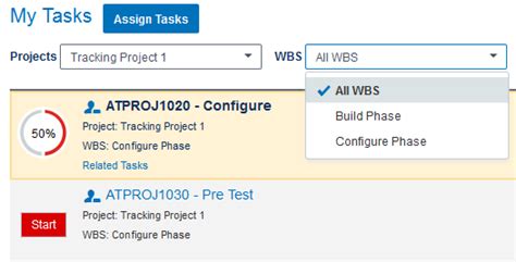Toradh íomhá ar Application of Primavera P6