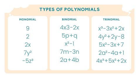 Image result for Polynomials Explained