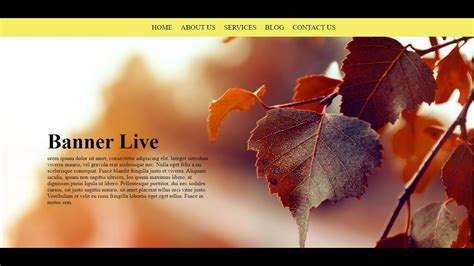 Afbeeldingsresultaten voor Banner Images for Website HTML