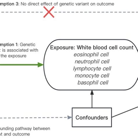 Image result for Mendelian Randomization Studies