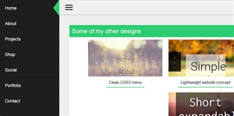 Image result for CSS3 Menu