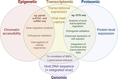 Bioinformatics Venn Diagram に対する画像結果