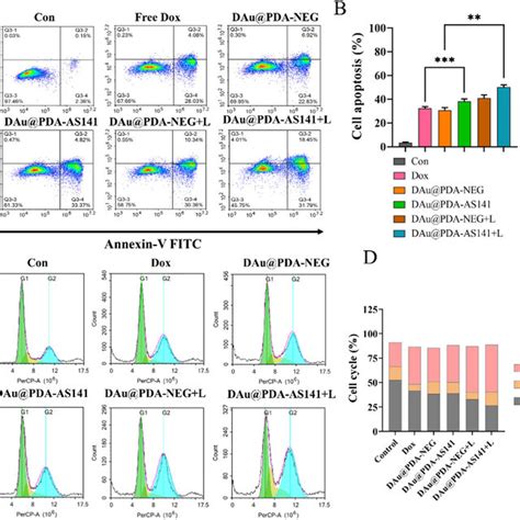 Image result for Annexin Assay