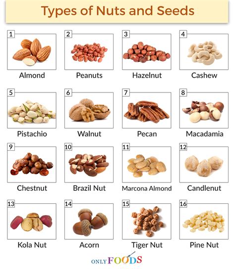 Toradh íomhá ar Nut Types